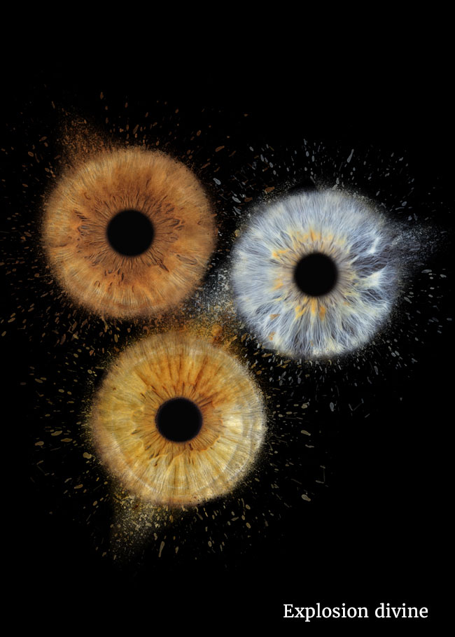 Franchise iris galerie